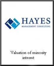 Hayes Management Consulting